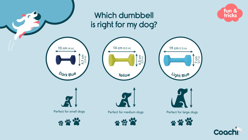 Coachi Training Dumbbell Dog Toys 3 Sizes