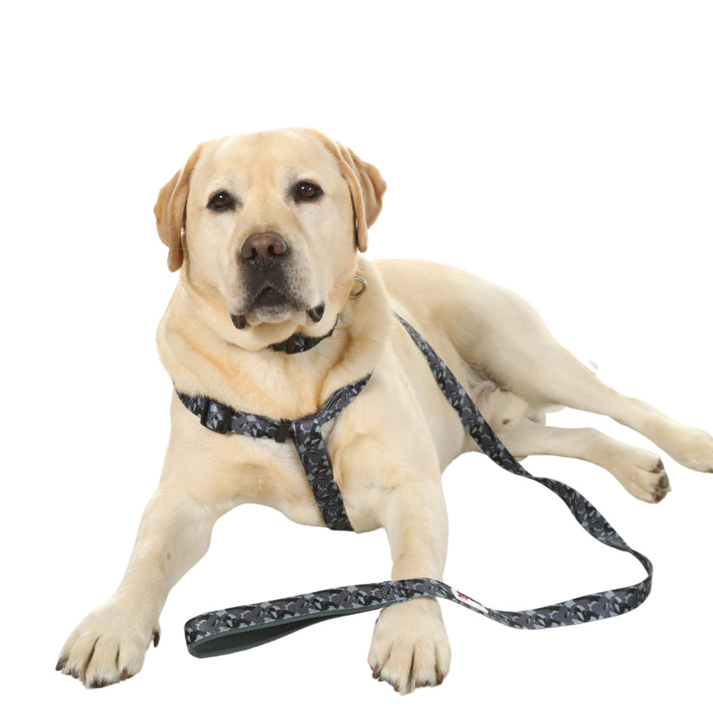Doodlebone Originals Dog Lead 1.2m Coal 3 Sizes