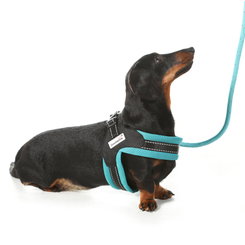 Doodlebone Originals Boomerang Dog Harness Apple 4 Sizes