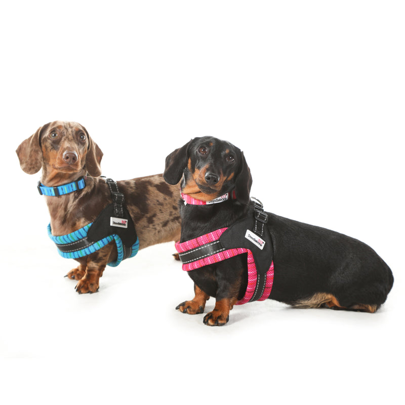 Doodlebone Originals Boomerang Pattern Dog Harness Pink Addiction 4 Sizes