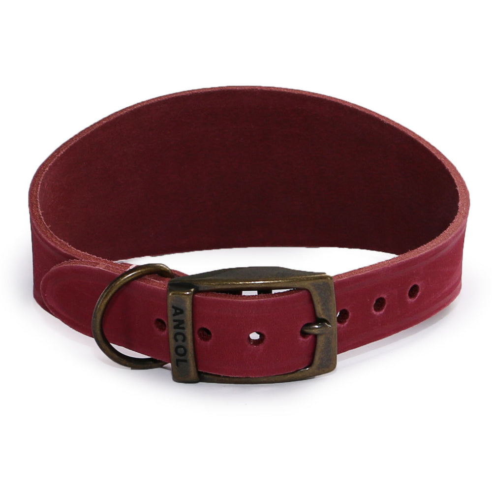 Ancol Timberwolf Greyhound & Whippet Leather Collars Raspberry 2 Sizes