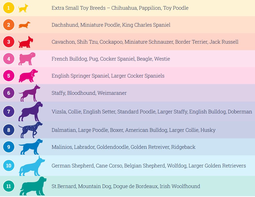Doodlebone Originals Snappy Dog Harness Violet 7 Sizes