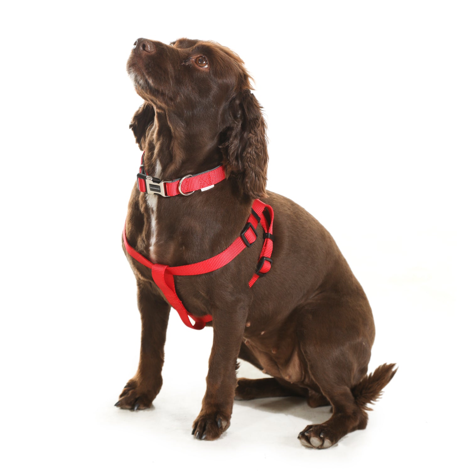Doodlebone Originals Dog Harness Violet 4 Sizes