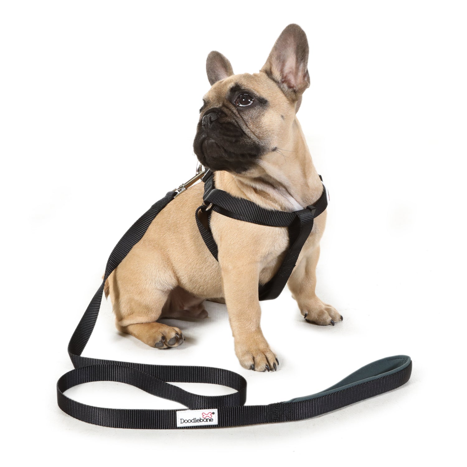 Doodlebone Originals Dog Harness Apple 4 Sizes