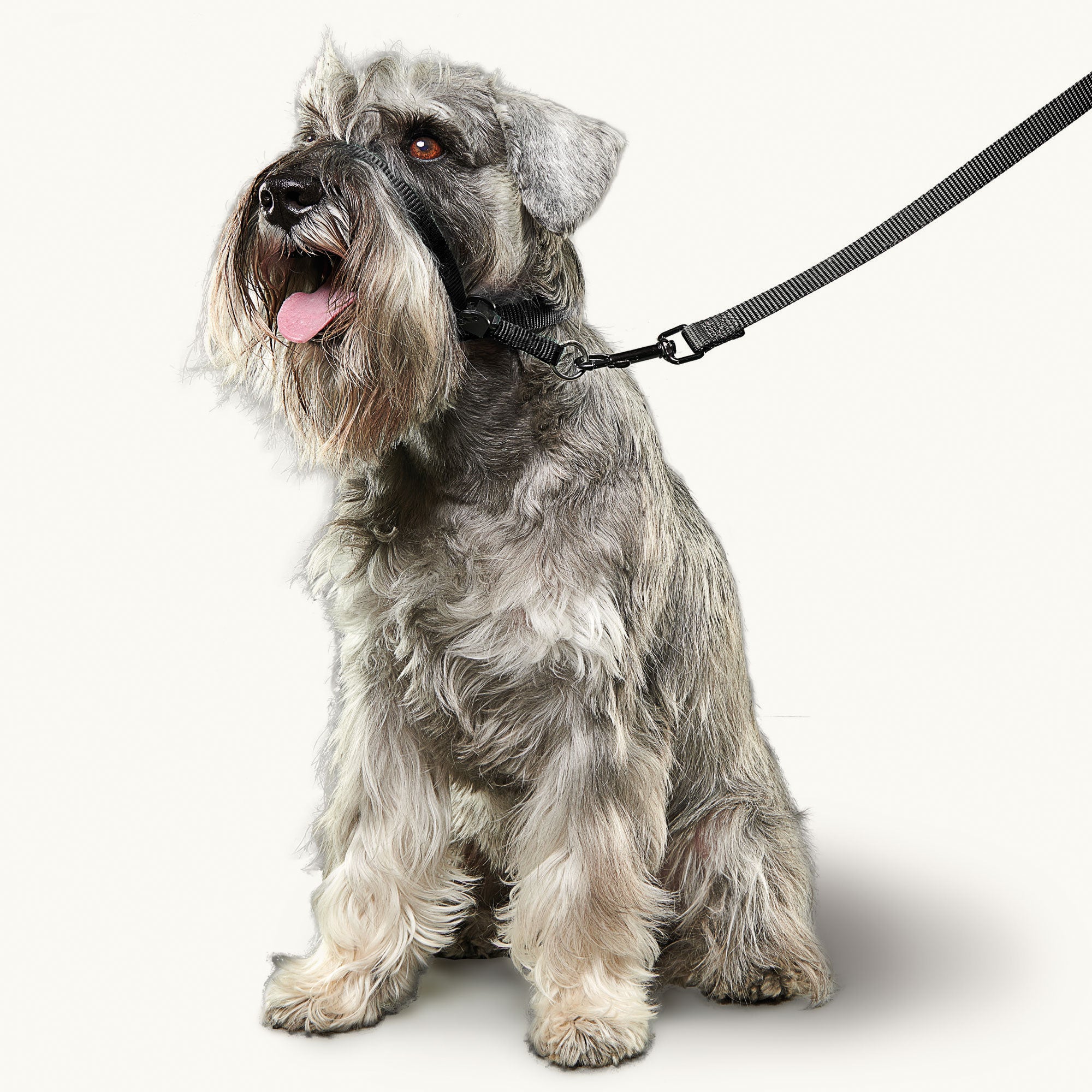 Beaphar Gentle Leader Head Collar Dog Lead STOPS Pulling Black 3 Sizes