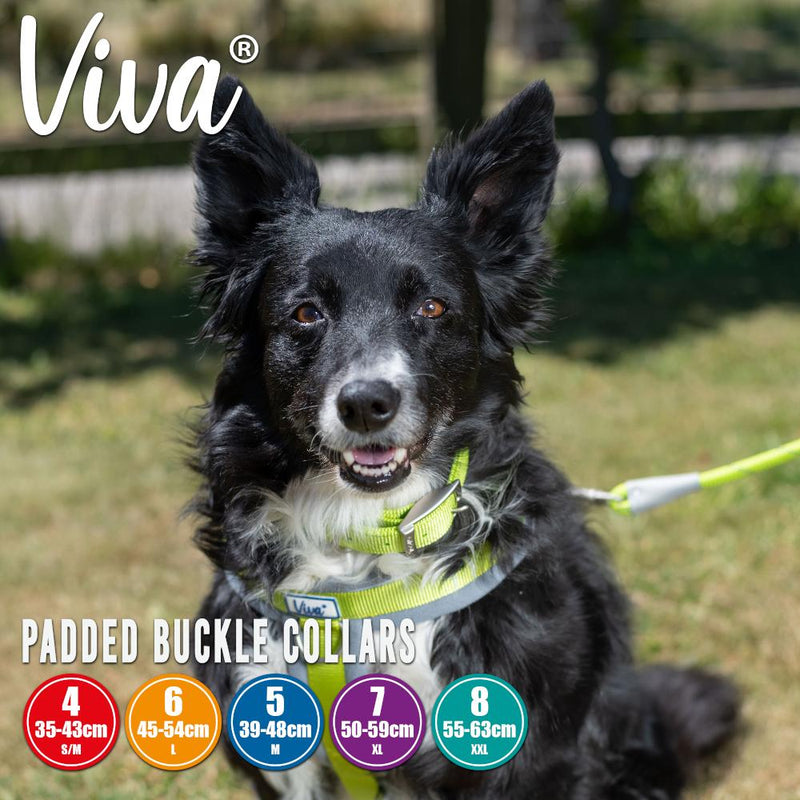 Ancol Viva Dog Collars Buckle Nylon Neoprene Padded Blue 5 Sizes