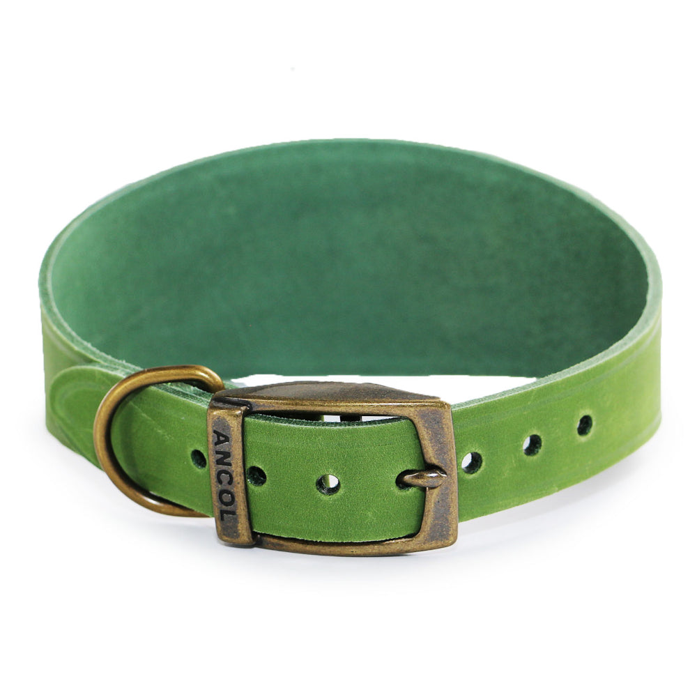 Ancol Timberwolf Greyhound & Whippet Leather Collars Green 2 Sizes