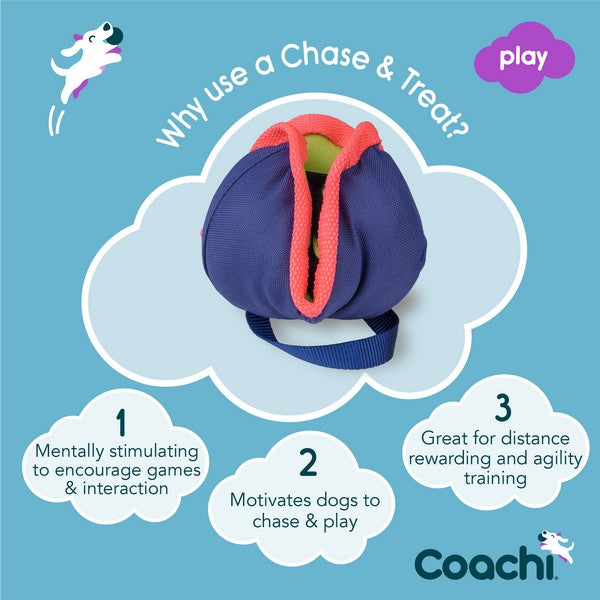 Coachi Chase & Treat Navy Lime & Coral Training Toy