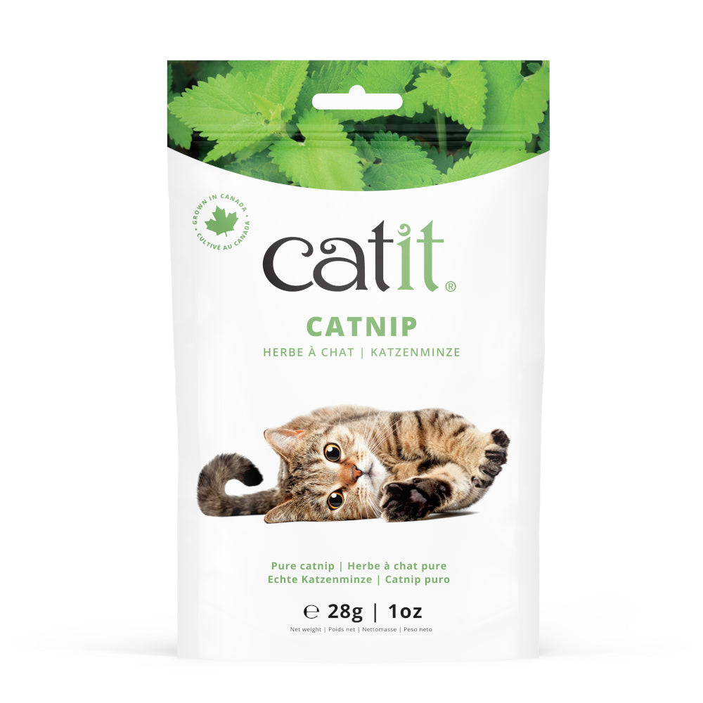 Catit Canadian Dried Catnip Leaves & Flowers 3 Sizes
