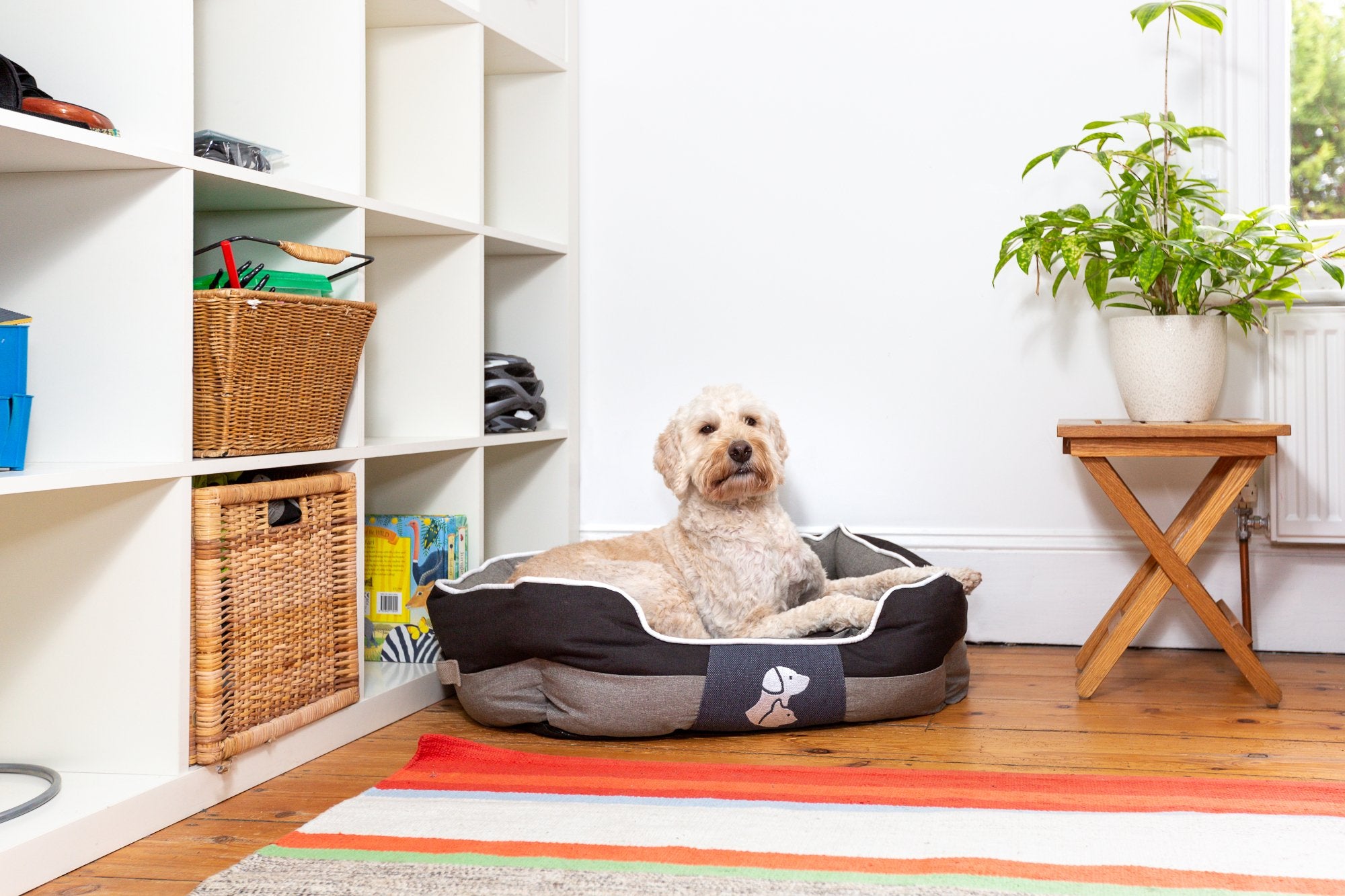 Real Pet Store Oxbridge Luxury Dog Beds Black 4 Sizes
