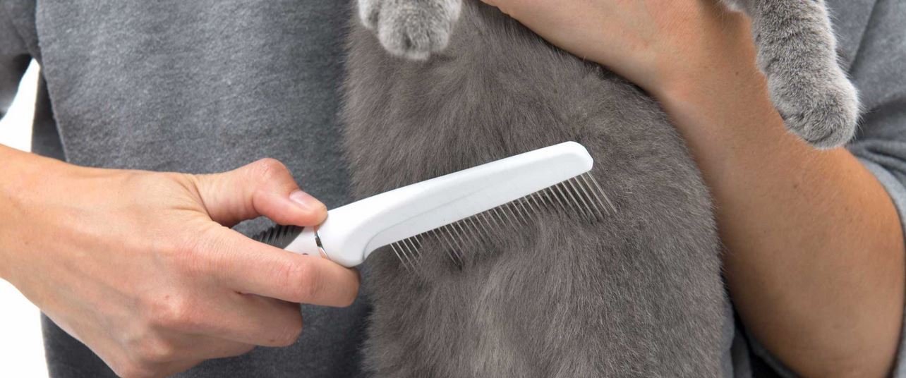Catit Cat Short Hair Grooming Kit