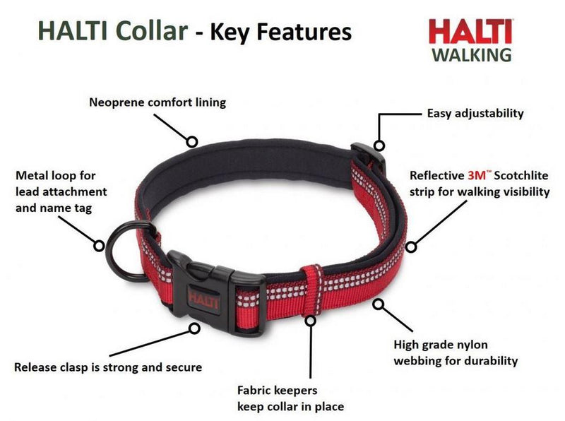 CoA Halti Dog Collar Purple 4 Sizes