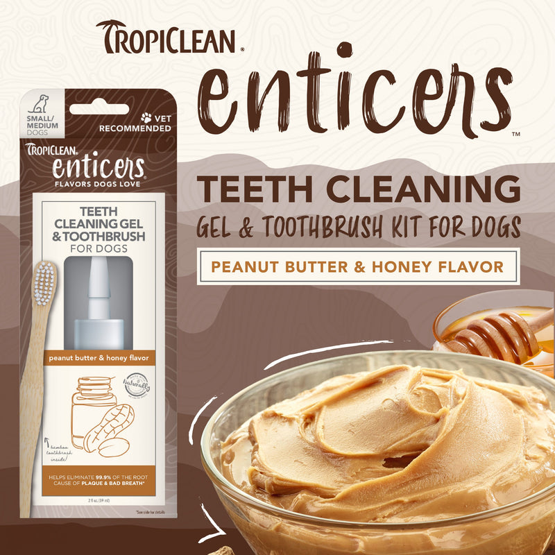 TropiClean Enticers Teeth Cleaning Gel and Toothbrush for Small/Medium Dogs Peanut Butter & Honey Gel 59ml