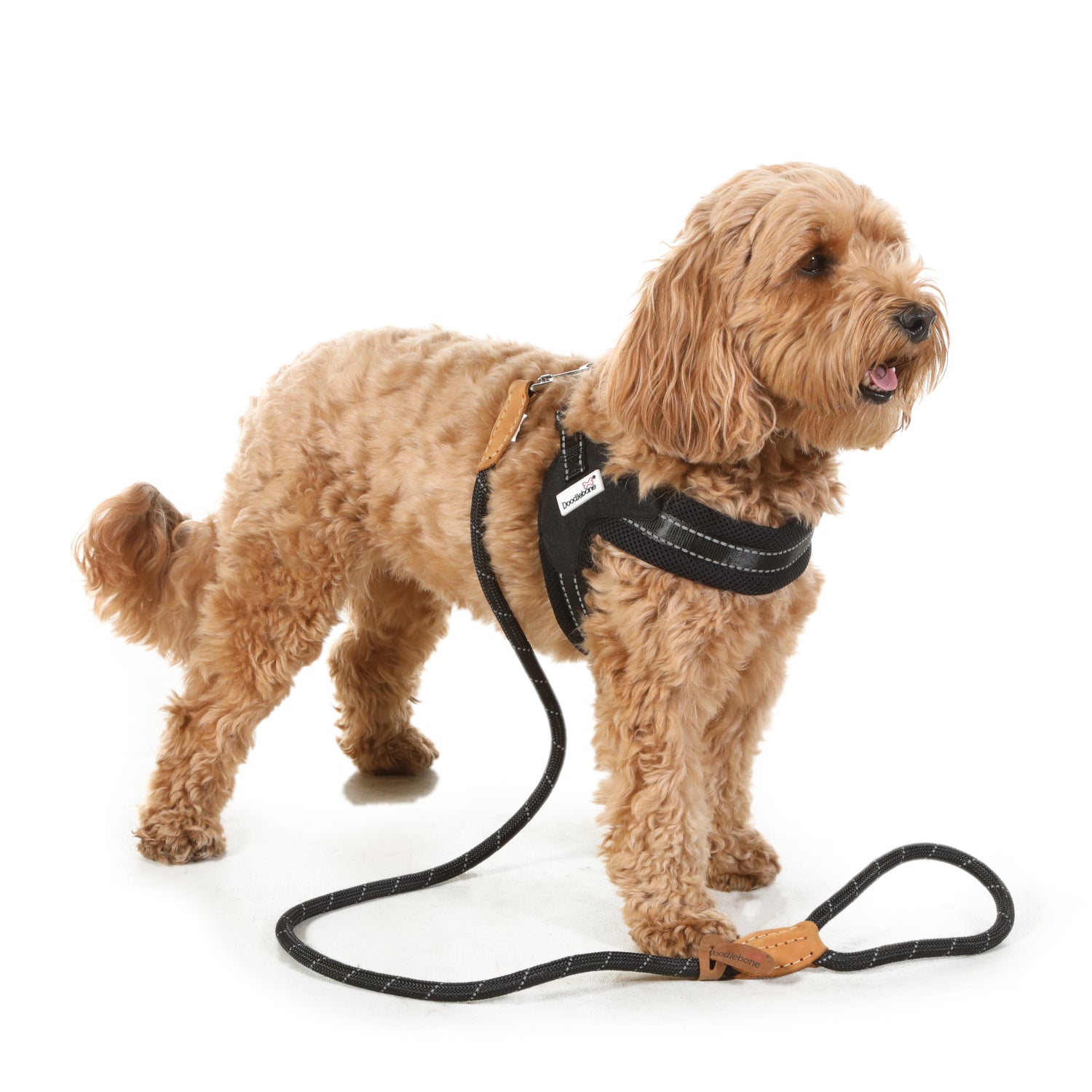 Doodlebone Originals Boomerang Dog Harness Coal 4 Sizes