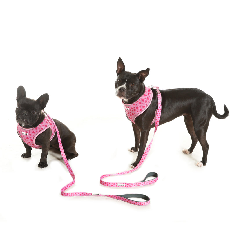 Doodlebone Originals Dog Lead 1.2m Ruby 3 Sizes