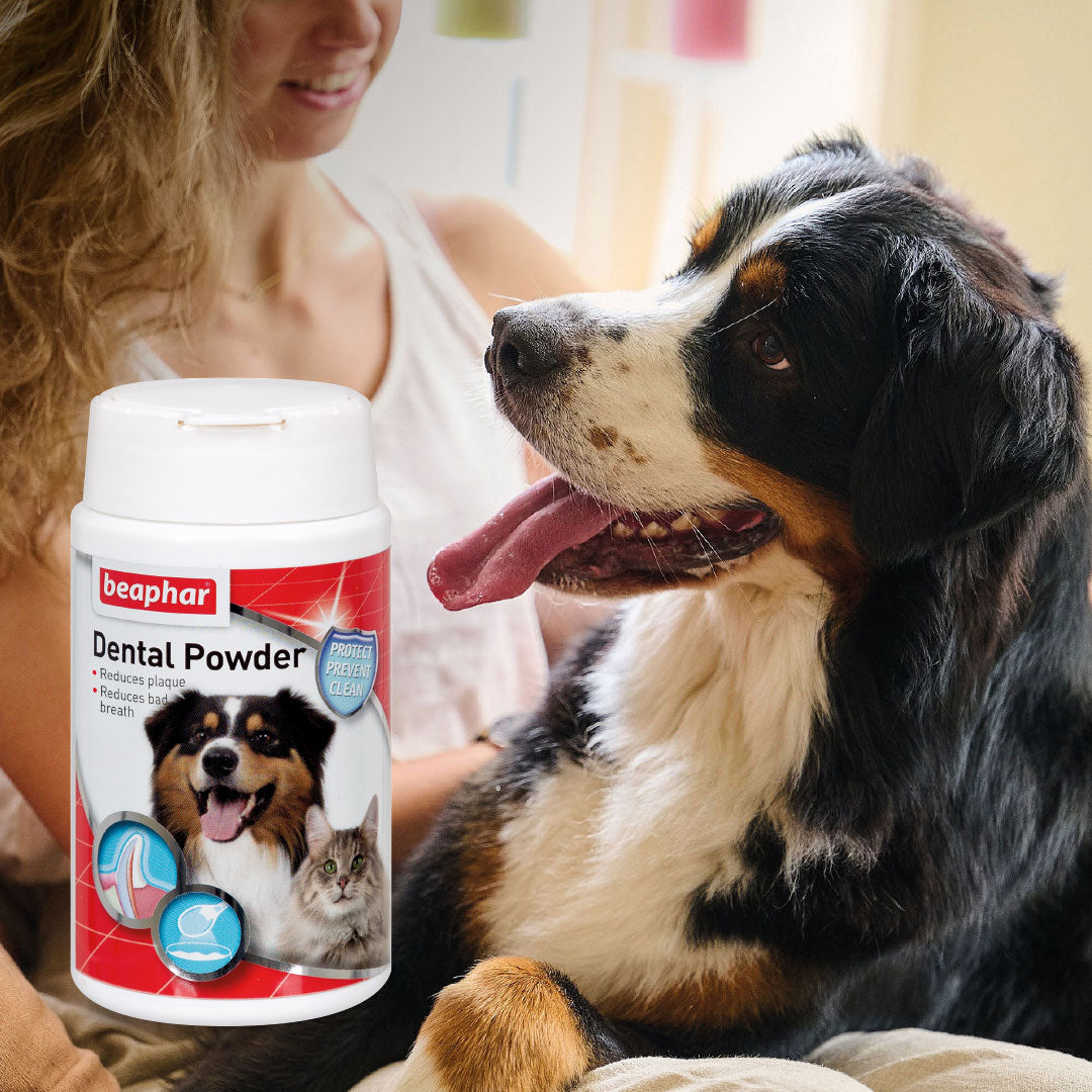 Beaphar Anti-Plaque Dental Powder for Dogs & Cats 75g