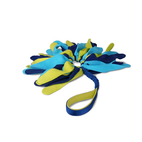 Coachi Tuggi Spider Navy Lime & Light Blue Training Toy