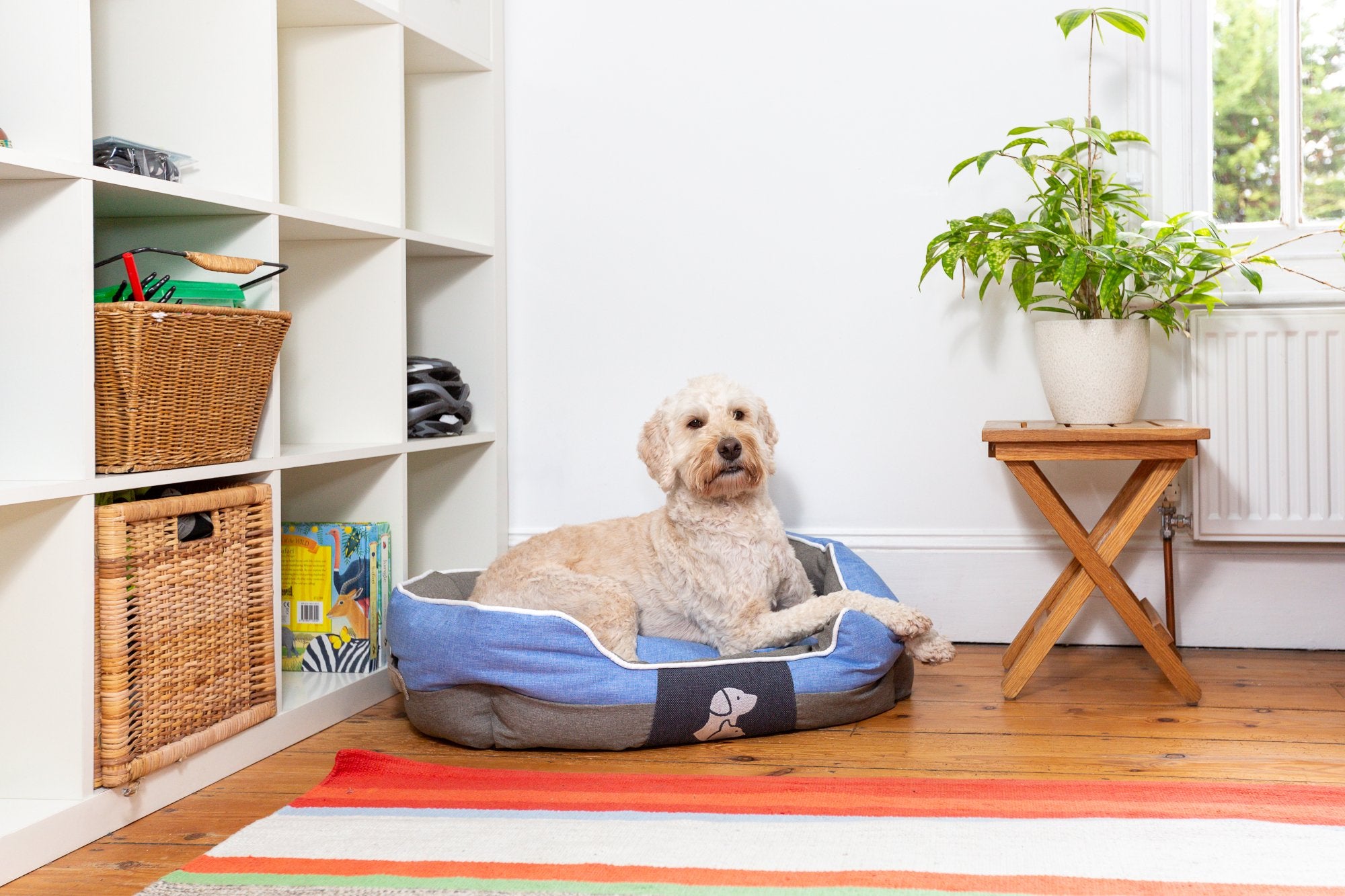Real Pet Store Oxbridge Luxury Dog Beds Blue 4 Sizes