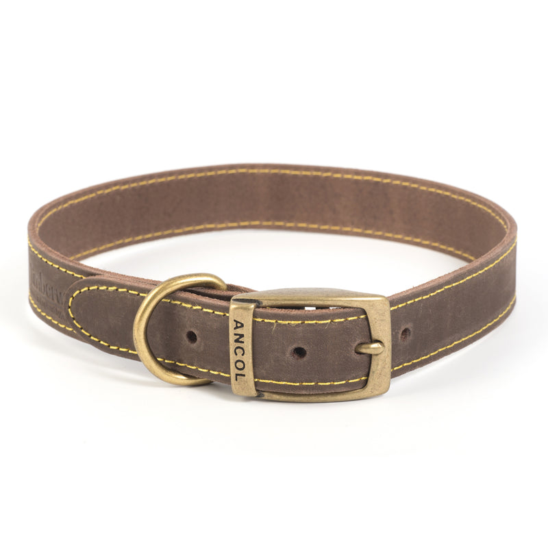 Ancol Timberwolf Leather Collars Sable 8 Sizes