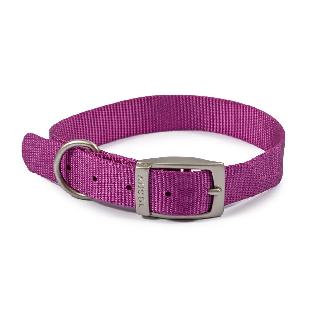 Ancol Viva Dog & Puppy Buckle Collars Nylon Purple 5 Sizes
