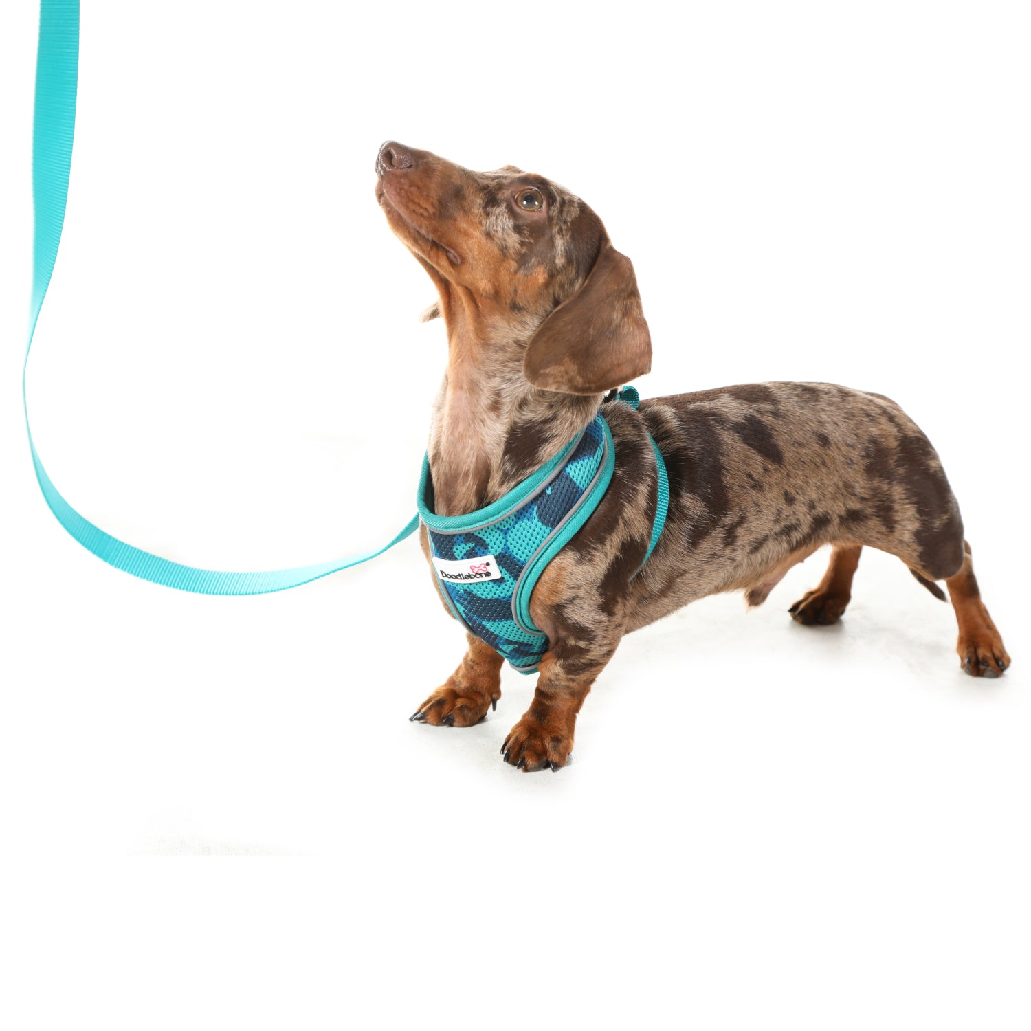 Doodlebone Originals Dog Lead 1.2m Violet 3 Sizes