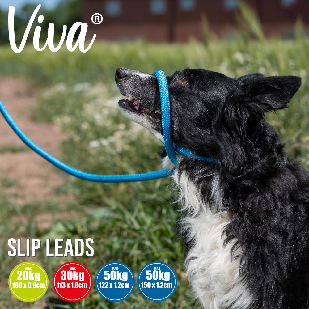 Ancol Viva Dog Rope Slip Lead Reflective Weave Lime 4 Sizes