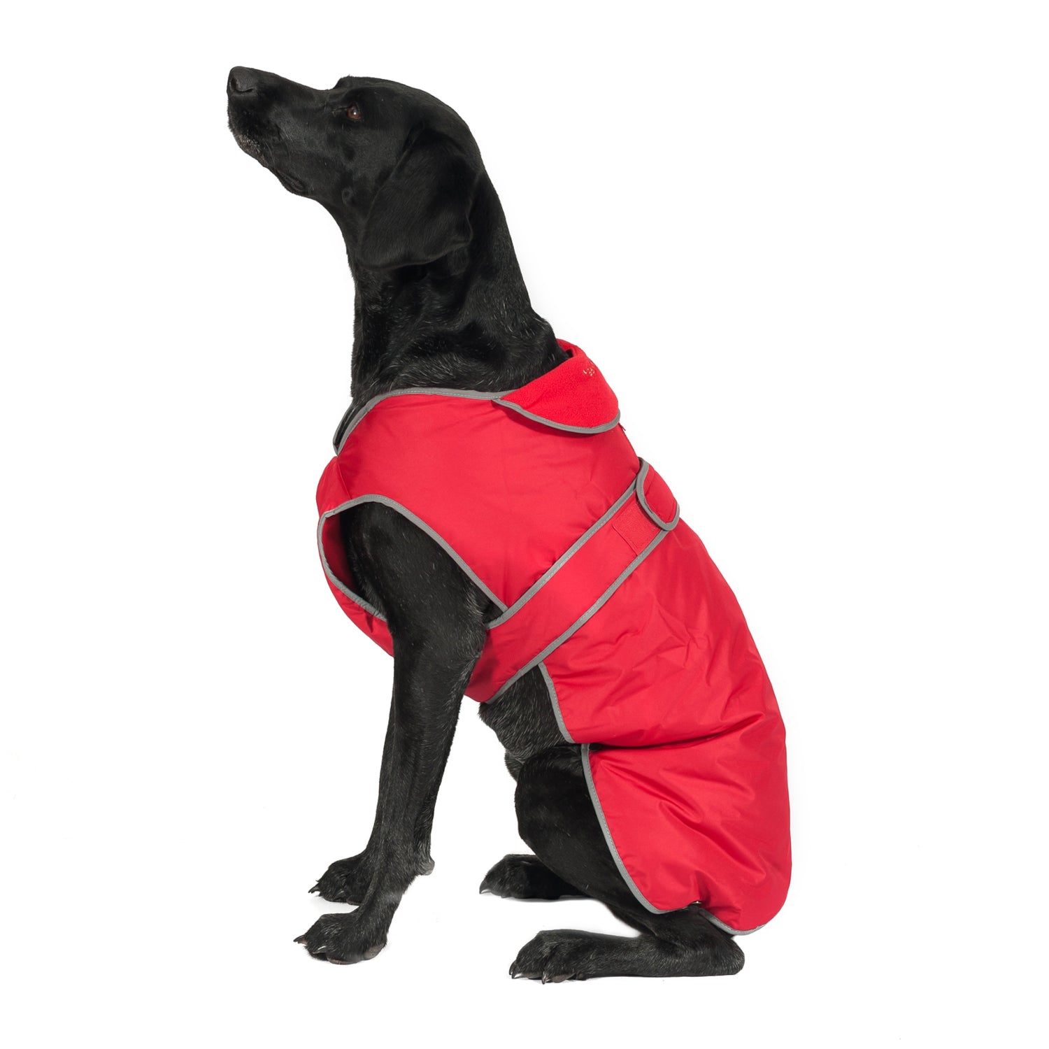Ancol Dog Puppy Coats Stormguard Poppy Red 7 Sizes