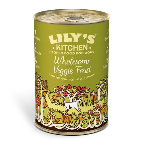 Lily's Kitchen Wholesome Veggie Feast Canned Dog Food 400g