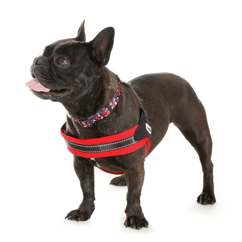 Doodlebone Originals Boomerang Dog Harness Blush 4 Sizes