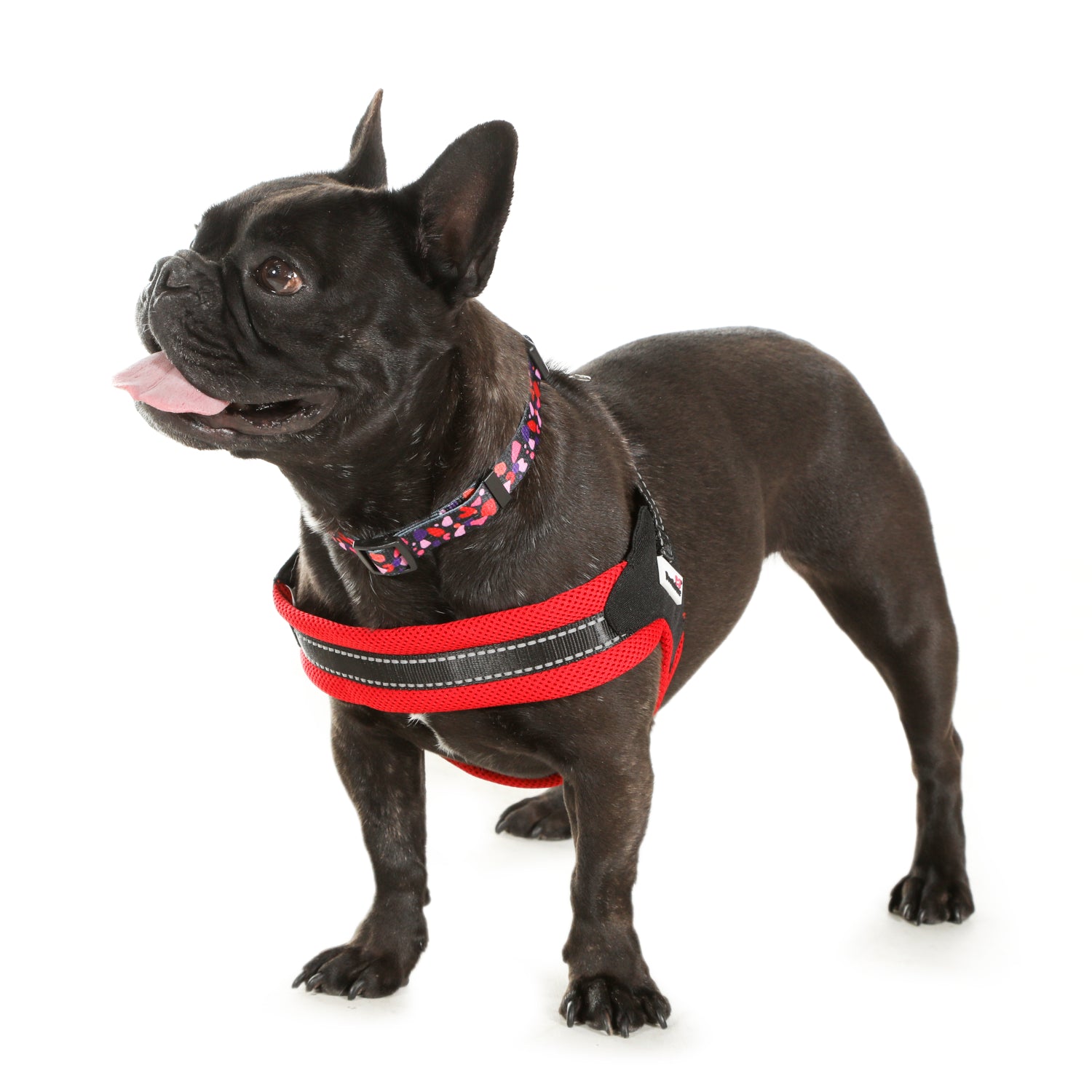 Doodlebone Originals Boomerang Dog Harness Fuchsia 4 Sizes